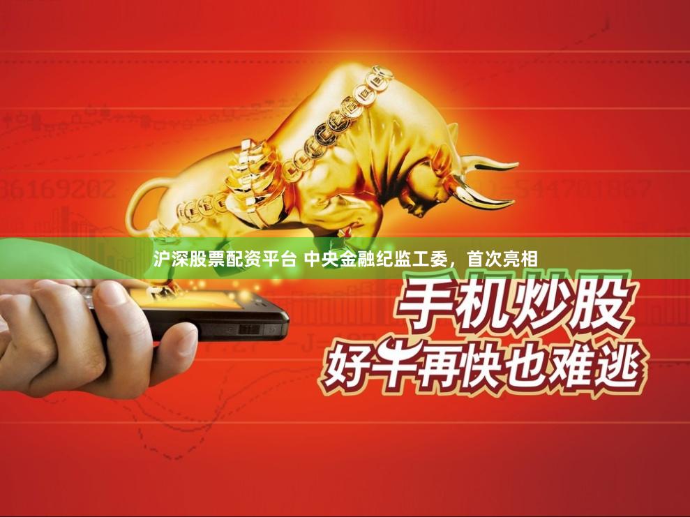 沪深股票配资平台 中央金融纪监工委，首次亮相